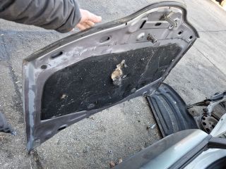 bontott RENAULT LAGUNA II Motorháztető