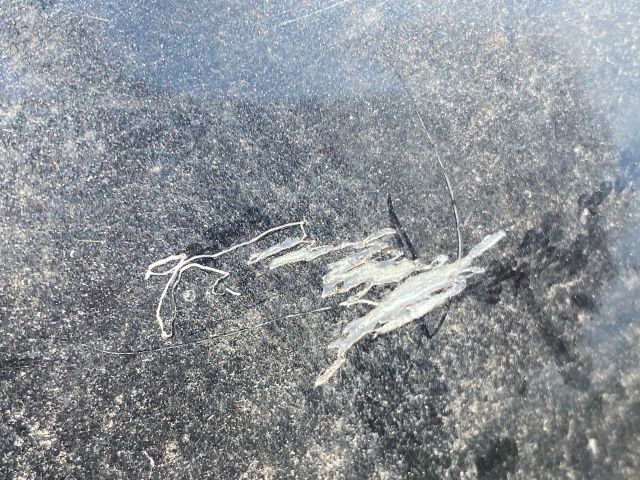 bontott RENAULT LAGUNA III Bal hátsó Ajtó (Üres lemez)