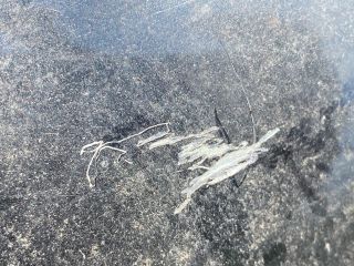 bontott RENAULT LAGUNA III Bal hátsó Ajtó (Üres lemez)