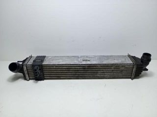 bontott RENAULT LAGUNA III Vízhűtő Radiátor Tartó