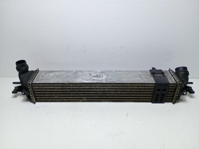 bontott RENAULT LAGUNA III Vízhűtő Radiátor Tartó