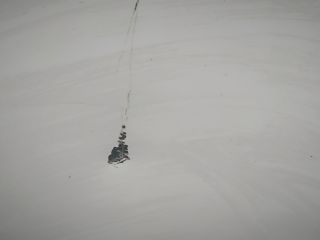 bontott RENAULT MASTER Bal első Sárvédő