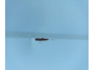 bontott RENAULT MASTER Bal hátsó Ajtó (Üres lemez)