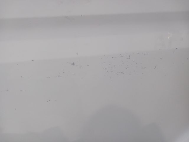 bontott RENAULT MASTER Jobb első Ajtó (Üres lemez)