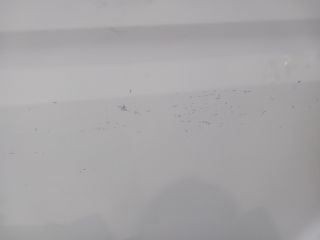 bontott RENAULT MASTER Jobb első Ajtó (Üres lemez)