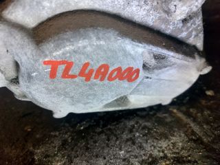 bontott RENAULT MEGANE II Váltó (Mechanikus)