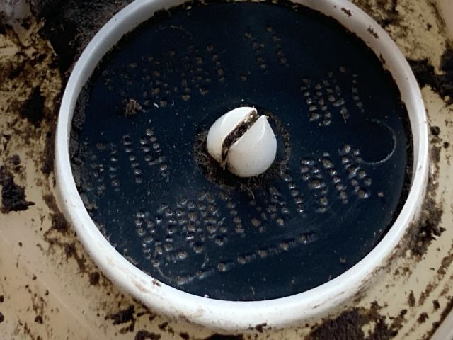 bontott RENAULT MEGANE II Üzemanyag Szivattyú