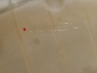 bontott RENAULT MEGANE II Kiegyenlítő Tartály