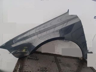 bontott RENAULT MEGANE II Bal első Sárvédő