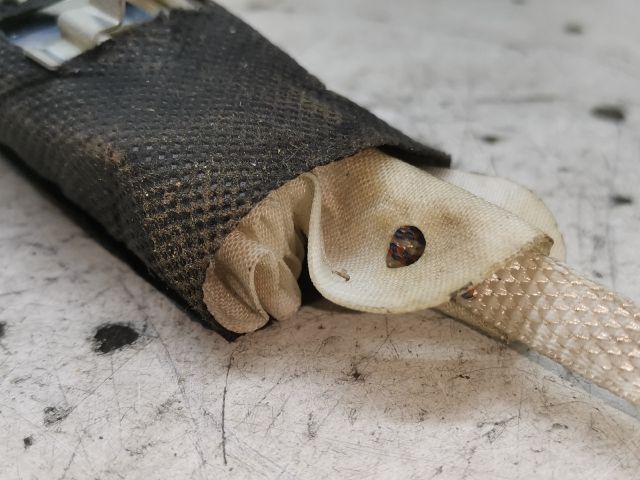 bontott RENAULT MEGANE II Bal Függönylégzsák és Oldallégzsák