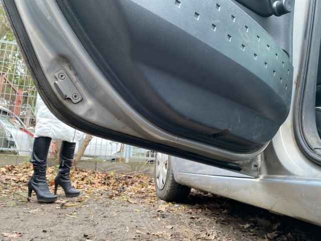 bontott RENAULT MEGANE II Bal hátsó Ajtó (Üres lemez)