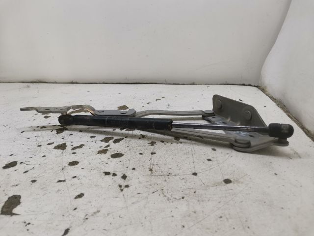 bontott RENAULT MEGANE II Csomagtérajtó Bal Zsanér