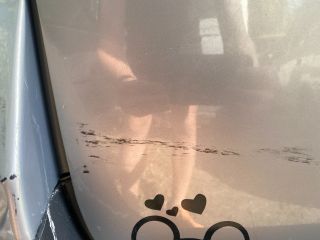 bontott RENAULT MEGANE II Csomagtérajtó (Üres lemez)