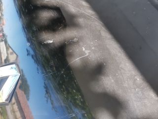 bontott RENAULT MEGANE II Csomagtérajtó (Üres lemez)