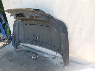 bontott RENAULT MEGANE II Csomagtérajtó (Üres lemez)