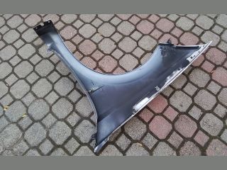 bontott RENAULT MEGANE II Jobb első Sárvédő