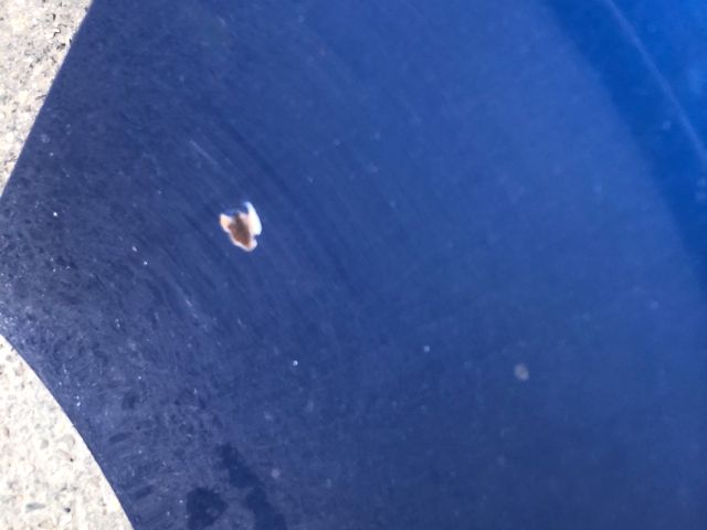 bontott RENAULT MEGANE II Motorháztető