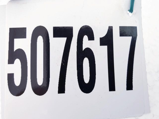 bontott RENAULT MEGANE II Porlasztó (1 db)