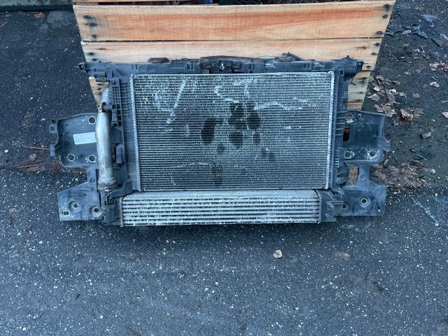 bontott RENAULT MEGANE III Homlokfal (Üres lemez)