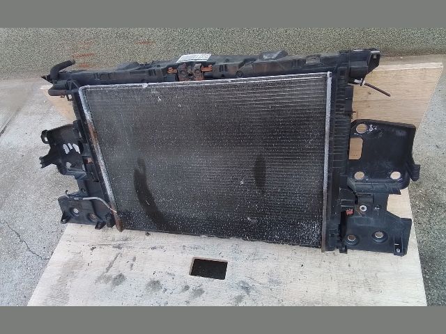 bontott RENAULT MEGANE III Komplett Homlokfal (Részeivel)