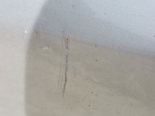 bontott RENAULT MEGANE III Jobb első Ajtó (Üres lemez)