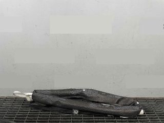 bontott RENAULT MEGANE III Jobb első Függöny Légzsák