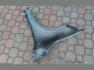 bontott RENAULT MEGANE III Jobb első Sárvédő