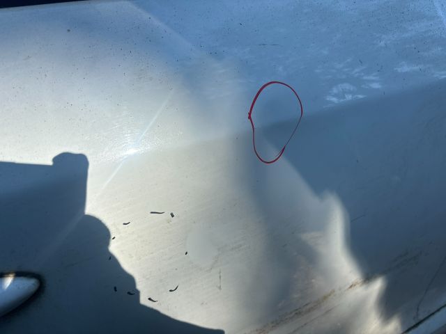 bontott RENAULT MEGANE III Jobb hátsó Ajtó (Részeivel)