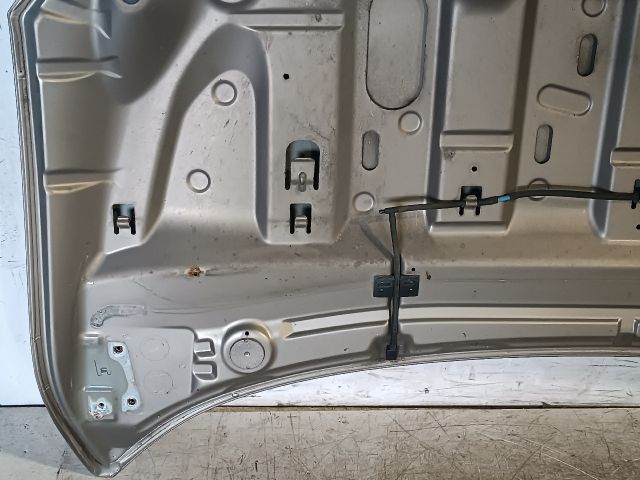 bontott RENAULT MEGANE III Motorháztető