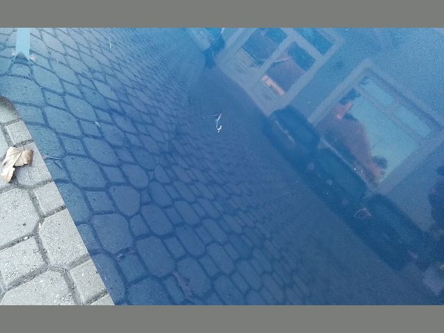 bontott RENAULT MEGANE III Motorháztető