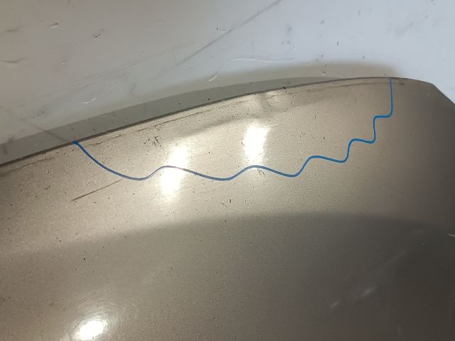 bontott RENAULT MEGANE III Motorháztető