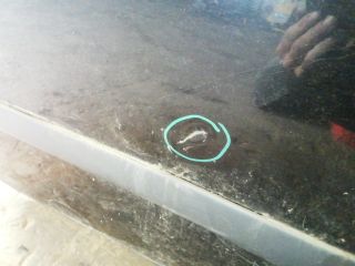 bontott RENAULT MODUS Jobb hátsó Ajtó (Üres lemez)