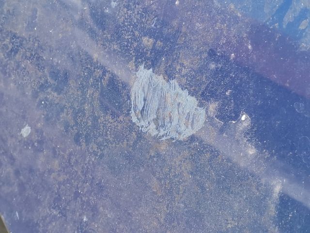 bontott RENAULT MODUS Motorháztető