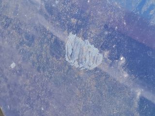 bontott RENAULT MODUS Motorháztető