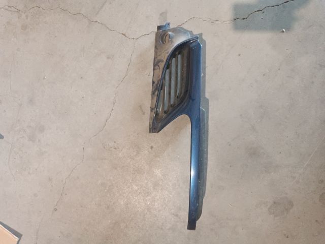 bontott RENAULT SAFRANE Motorháztető Díszrács