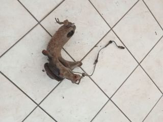 bontott RENAULT SCÉNIC II Jobb első Csonkállvány Kerékaggyal