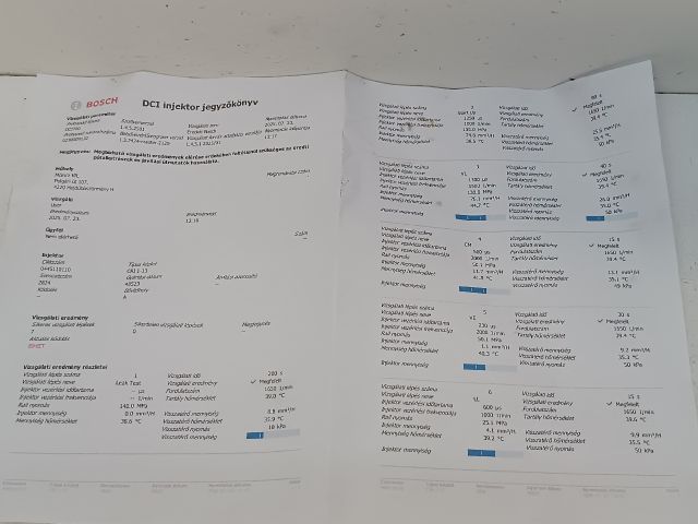 bontott RENAULT SCÉNIC II Porlasztó (1 db)