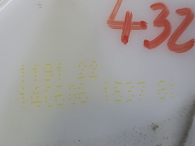 bontott RENAULT SCÉNIC II Bal első Ajtózár