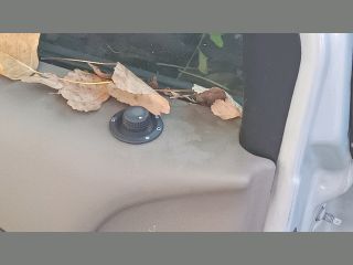 bontott RENAULT SCÉNIC II Bal első Biztonsági Öv