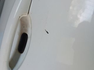 bontott RENAULT SCÉNIC II Jobb első Ajtó (Részeivel)