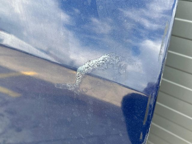 bontott RENAULT SCÉNIC II Jobb első Ajtó (Üres lemez)