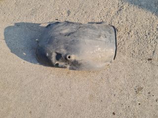 bontott RENAULT SCÉNIC II Jobb első Első Dobbetét (Kerékjárati, Műanyag)