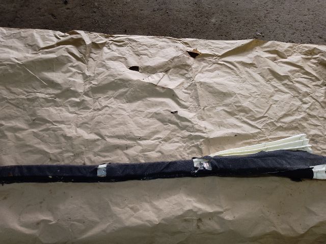 bontott RENAULT SCÉNIC II Jobb első Függöny Légzsák