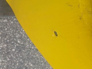 bontott RENAULT SCÉNIC III Bal hátsó Ajtó (Részeivel)