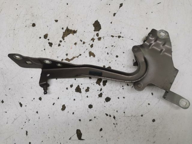 bontott RENAULT SCÉNIC III Motorháztető Bal Zsanér