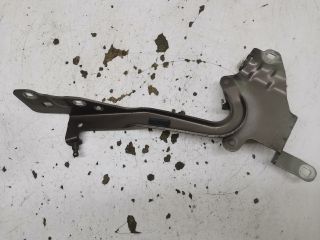 bontott RENAULT SCÉNIC III Motorháztető Bal Zsanér