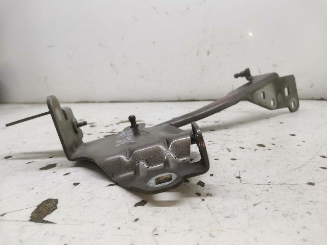 bontott RENAULT SCÉNIC III Motorháztető Jobb Zsanér