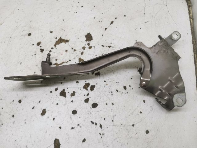 bontott RENAULT SCÉNIC III Motorháztető Jobb Zsanér