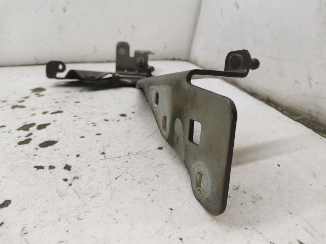 bontott RENAULT SCÉNIC III Motorháztető Jobb Zsanér