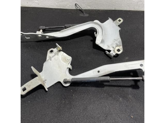 bontott RENAULT SCÉNIC III Motorháztető Zsanér Pár